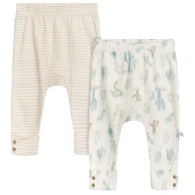 2-Pack Baby Boys Desert Cactus Pants