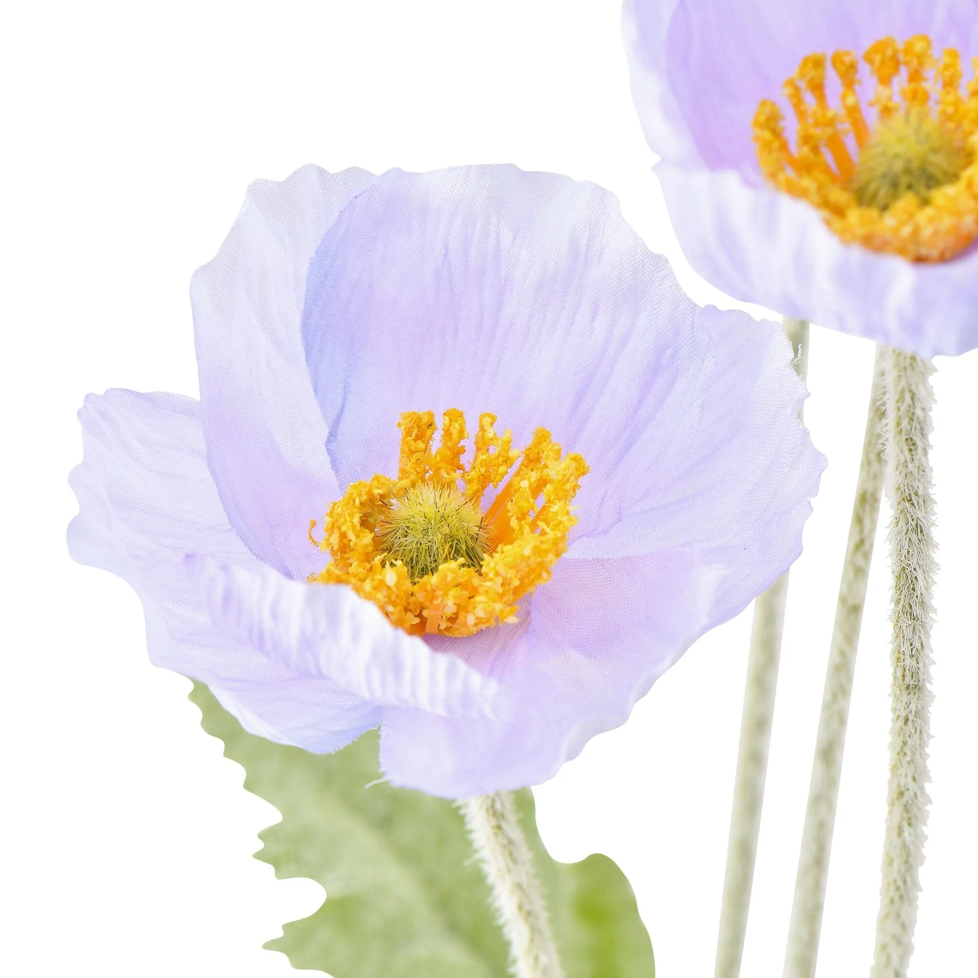 Art Flower Poppy S Purple